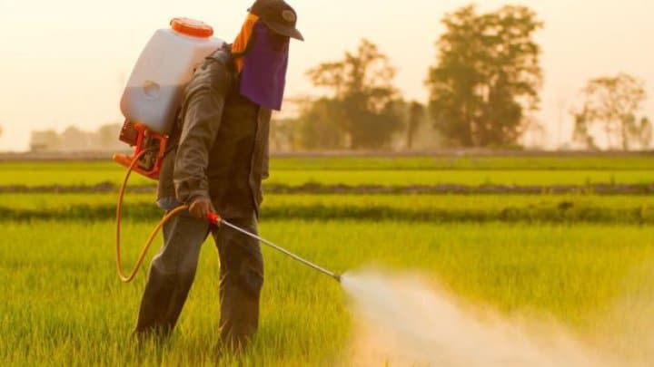 Interzicerea glifosatului ar fi costisitoare pentru fermieri
