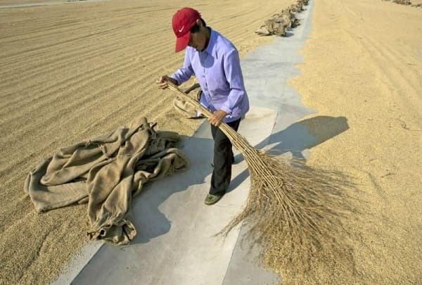Producţia de cereale a Chinei a atins un nou maxim în 2021