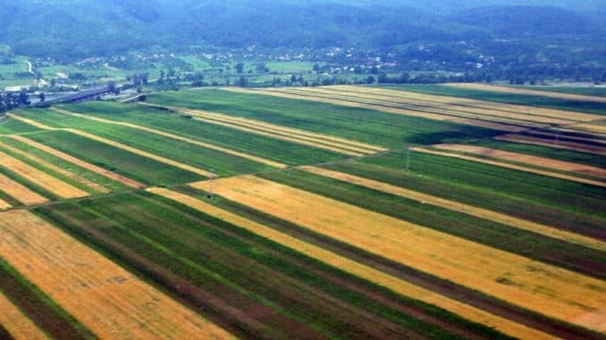 UE: 25% din terenuri să fie folosite pentru agricultura ecologică