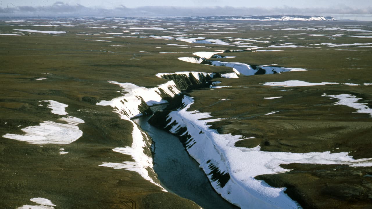 Rusia vrea să cultive cereale în zona arctică, profitând de schimbările climatice