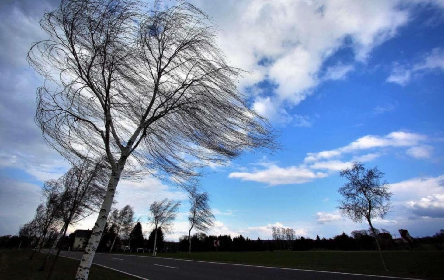 Vreme schimbătoare mâine. Cod galben de vânt, ploi