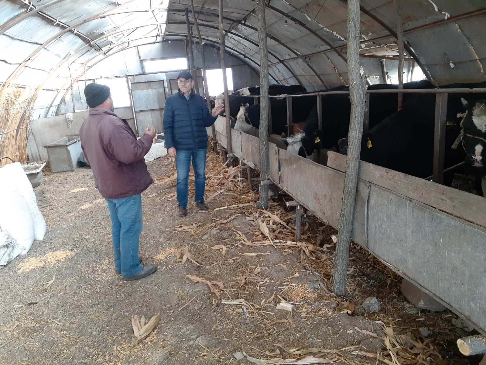 EXPERT ÎN ZOOTEHNIE: „birocrația stopează foarte mult dezvoltarea ramurii zootehnice”
