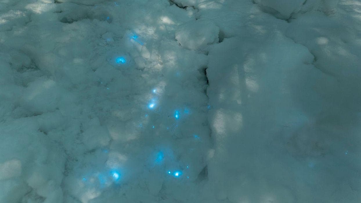 Zăpada care strălucește îi uimește pe cercetătorii ruși. Fenomenul descoperit în Arctica