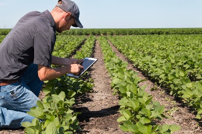 Seminare pentru fermierii interesați de dezvoltarea durabilă a agriculturii