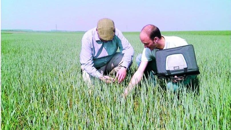 Subvențiile pentru asigurarea riscurilor în agricultură, în creștere