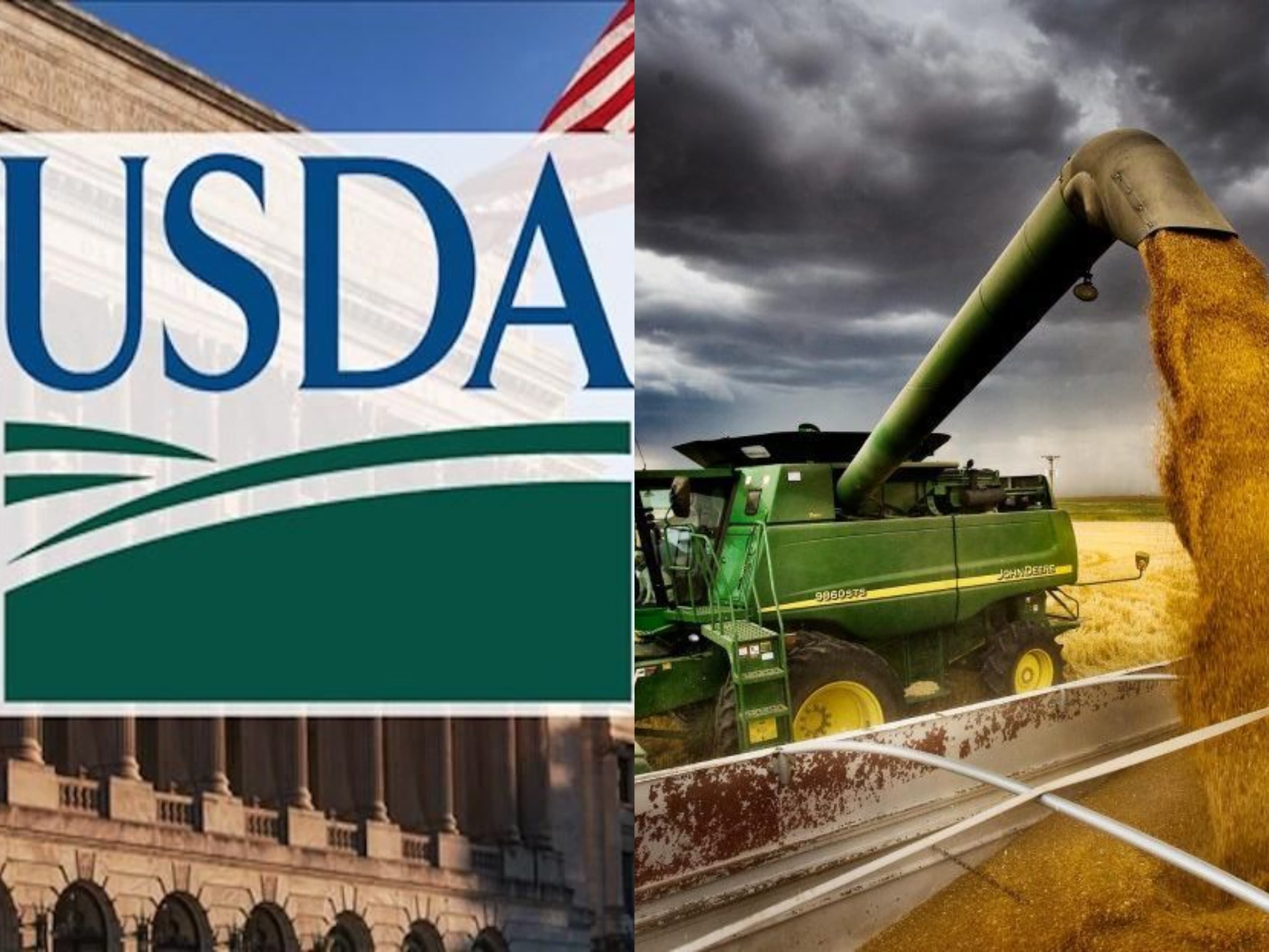 Piața cerealelor – în așteptarea raportului USDA