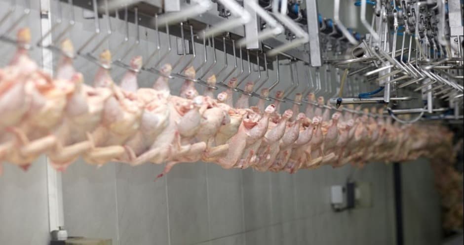 Ne-au pus embargo pe ceva ce nici nu exportăm