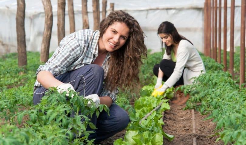 Femeile antreprenoare din mediul rural primesc sprijin pentru afaceri sustenabile