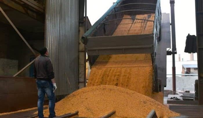 Din 1 martie se interzice exportul de grâu și zahăr din Moldova