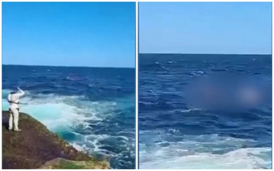 VIDEO/ Un rechin a ucis un bărbat în apropierea unei plaje din Sydney