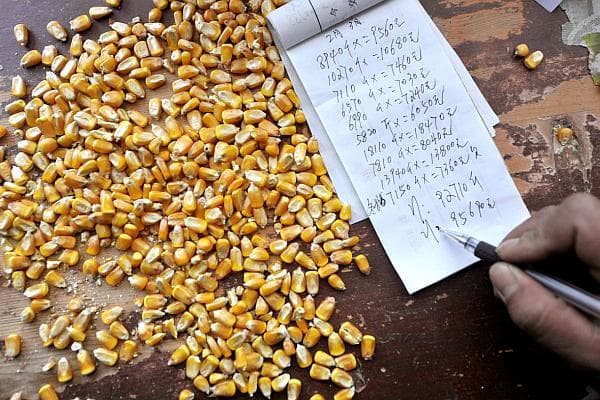 Piața cerealelor manifestă o volatilitate extremă