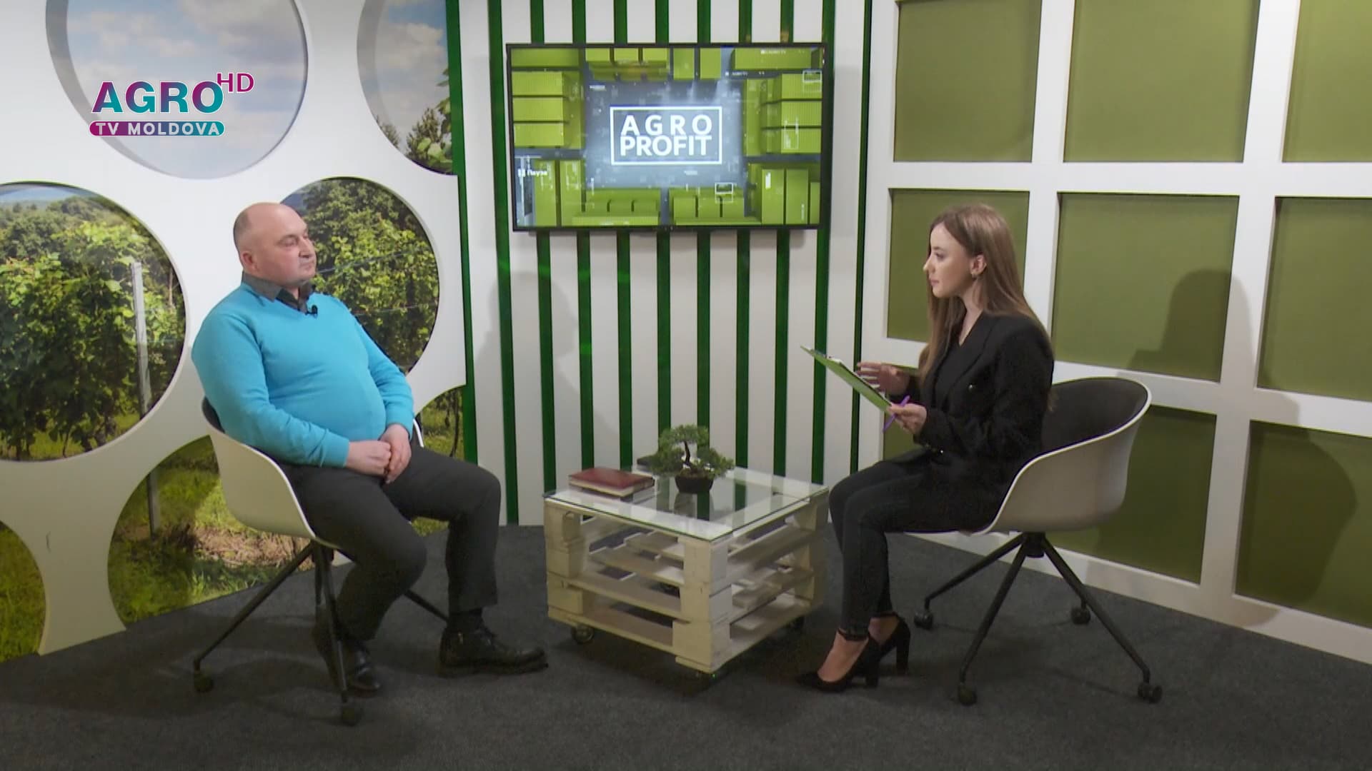 Cât de profitabilă este cultivarea plantelor medicinale și aromatice?