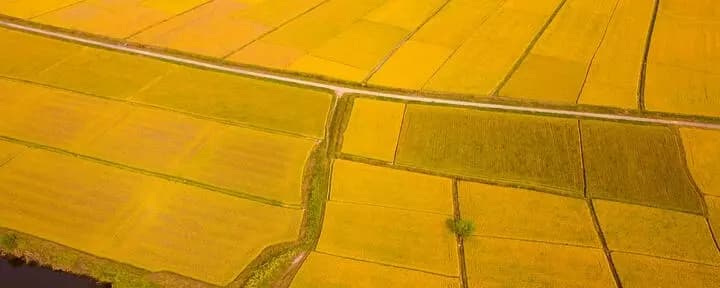 China face rezerve de cereale cu orice preț, de teama unei crize