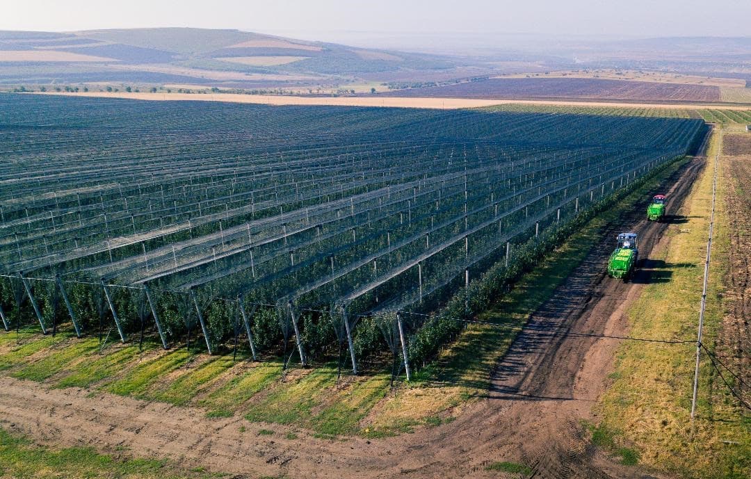 Tot mai puține contracte de asigurare în agricultură
