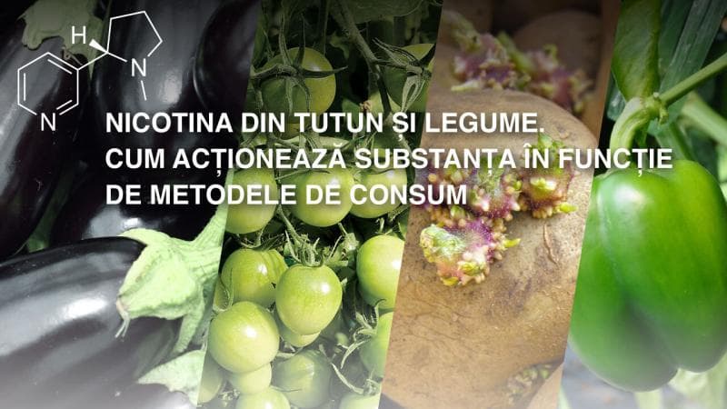 Nicotină din tutun și legume. Vezi cum acționează substanța