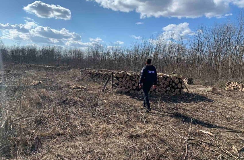 Amenzi de peste 123 de mii de lei în cadrul acțiunii ECO-Moldova