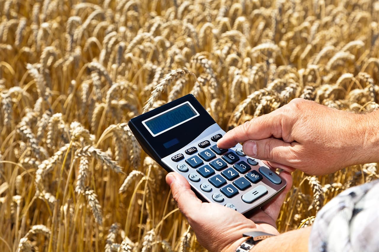 Prețul cerealelor – se vor stabili sau nu cote sau taxe la export?