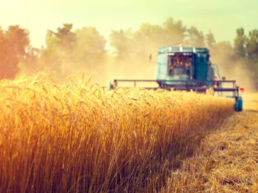 Statele europene încep să intervină pe piaţa cerealelor