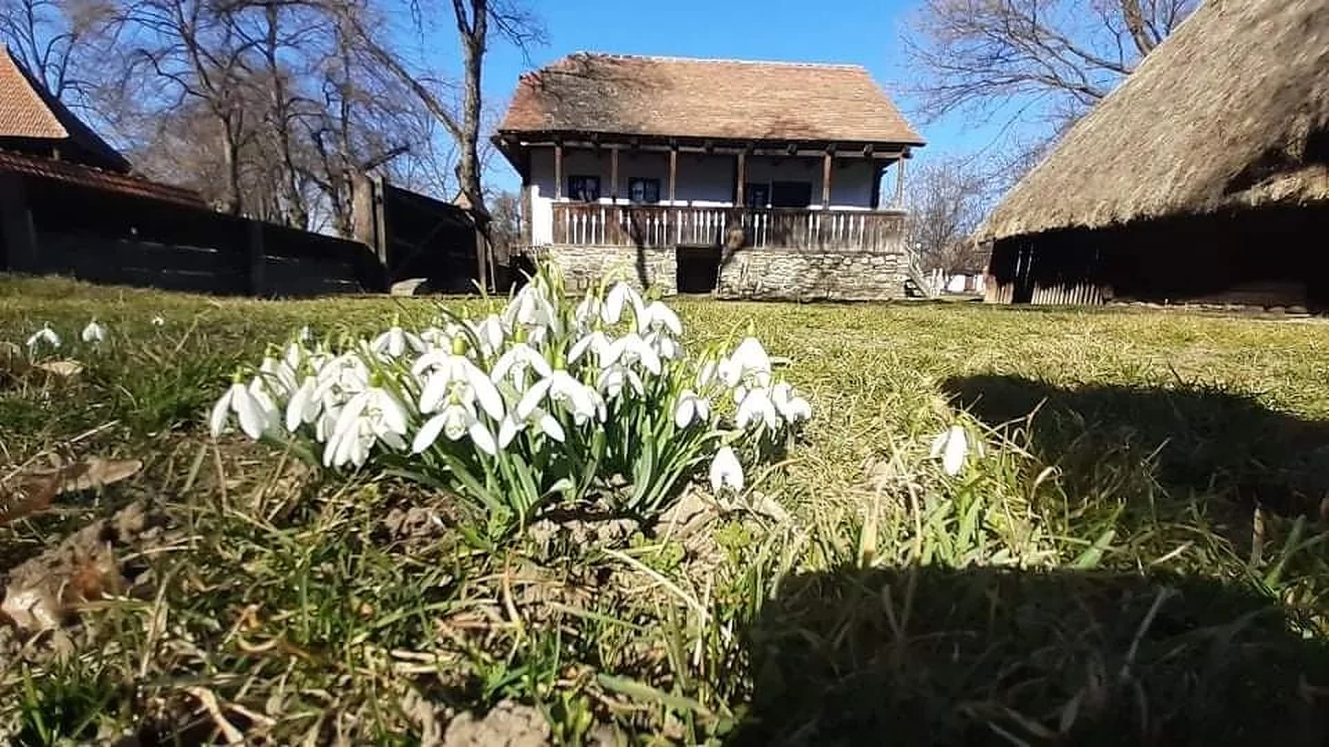 Vreme frumoasă în toată țara, prognozează meteorologii