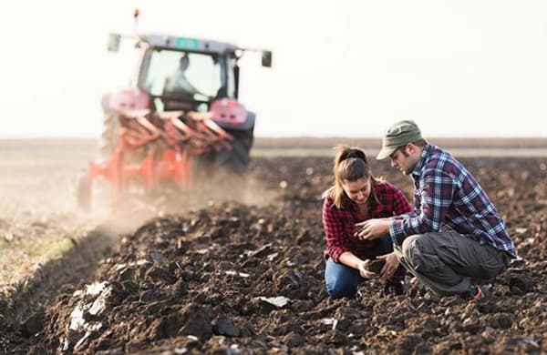 Tot mai putini absolvenți se angajează in domeniul agricol