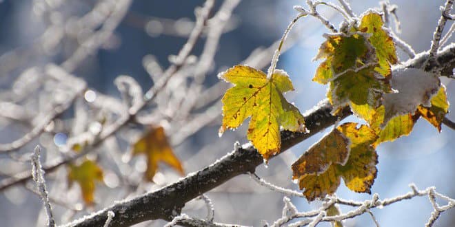 Ninsori slabe în nordul țării, prognozează meteorologii