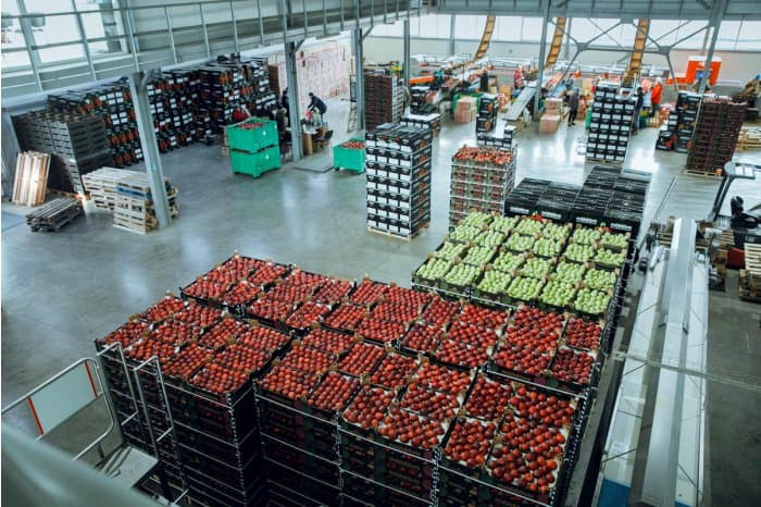Nu toți exportatorii de mere se pot reorienta spre alte piețe