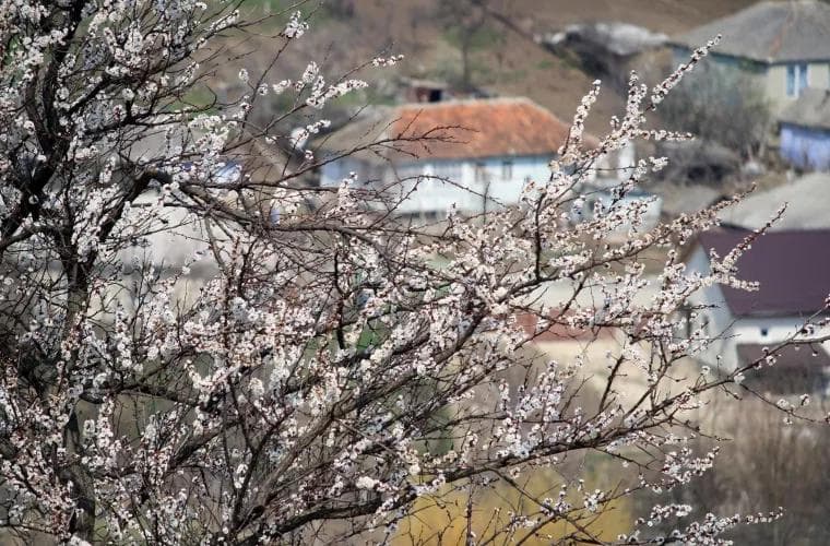 Vremea stabilă, prognozează meteorologii