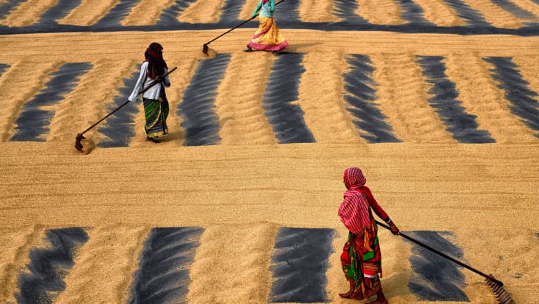 ANALIZĂ/ Poate India să hrănească întreaga planetă?