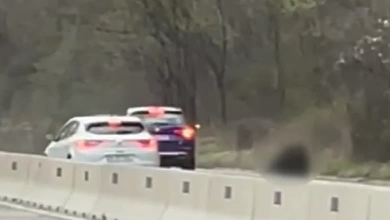 VIDEO/ În România, un urs a fost lovit în stradă de două mașini