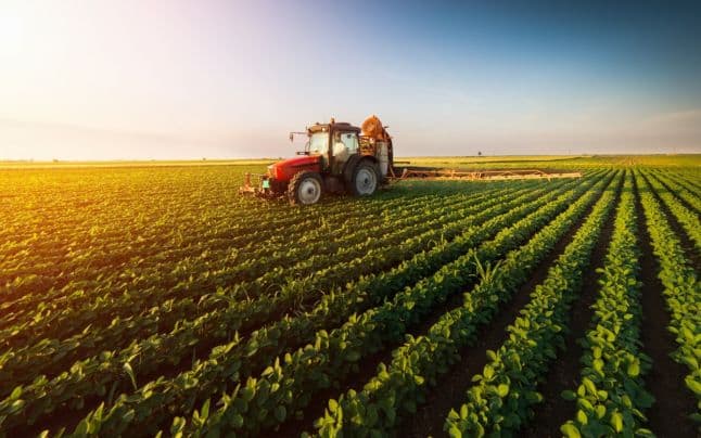 Sprijin pentru sectorul agricol de la Banca Mondială