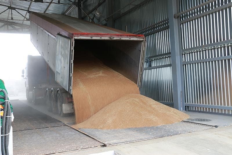 Guvernul inițiază eliberarea grâului alimentar din rezervele de stat