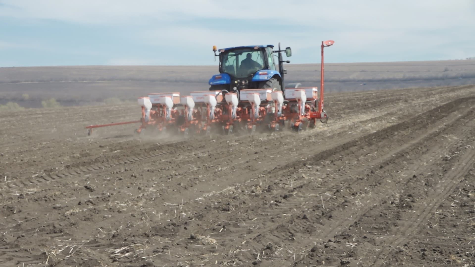 Agricultorii au început semănatul de floarea-soarelui