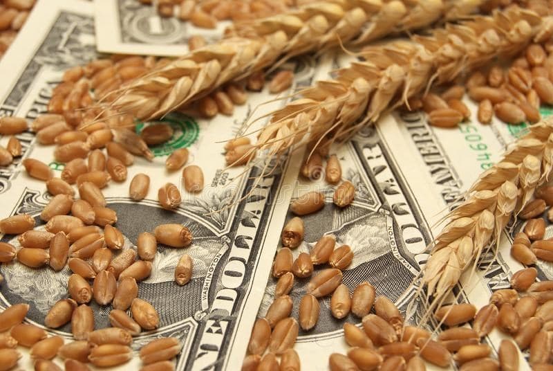 Prețul cerealelor în creștere după ultimul raport USDA