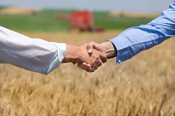 Mecanismul de asigurare a riscurilor în agricultură. Ce prevede acesta?