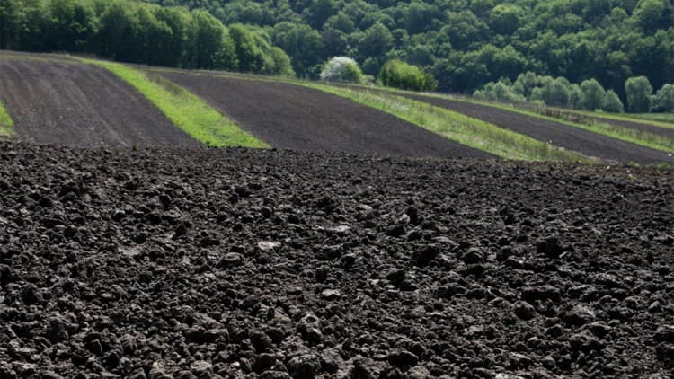 Practici alternative de fertilizare a solului și combatere a buruienilor