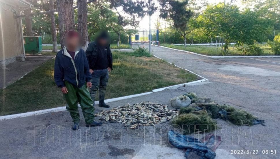Patru tineri care pescuiau ilegal în zona de frontieră riscă amenzi