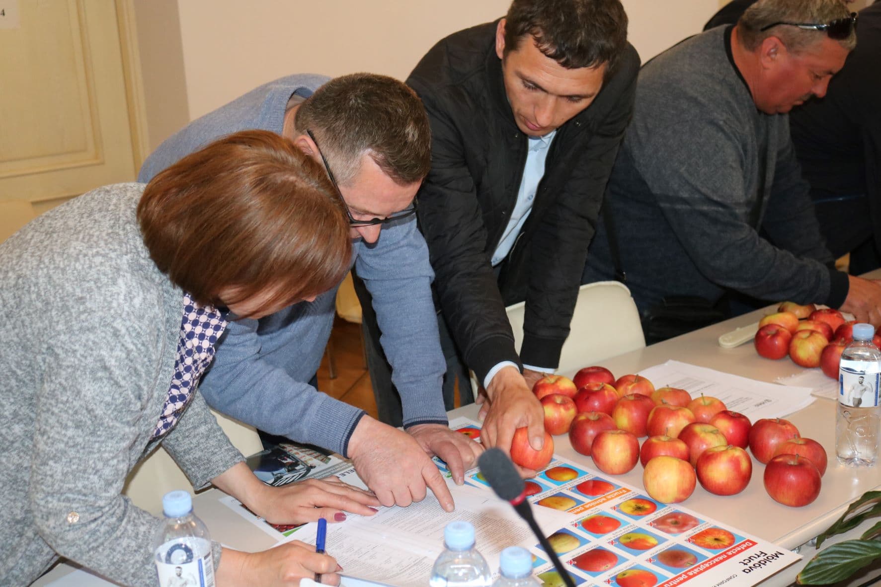 Inspectori teritoriali ANSA au fost instruiți în evaluarea fructelor
