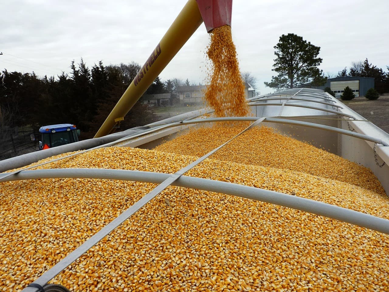 Coridoare verzi pentru exportul cerealelor