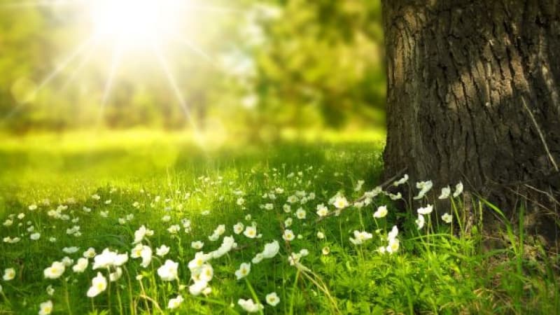 Vreme stabilă, fără precipitații prognozează meteorologii