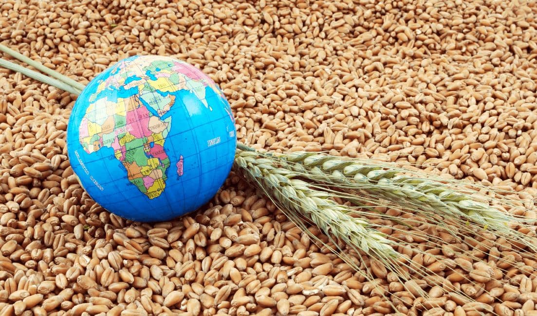 FAO, preocupată de securitatea alimentară în contextul războiului