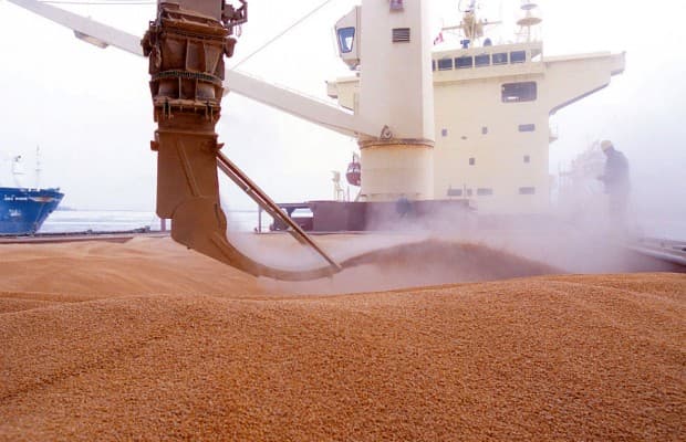 Cerealele costă mai puțin. Ucraina, furnizorul cu cele mai mici prețuri