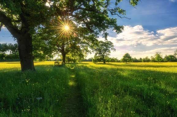 Temperaturi moderate și vânt din nord în centrul țării, maxime de 26 grade Celsius