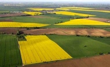 Ucraina a pierdut un sfert din terenurile cultivabile