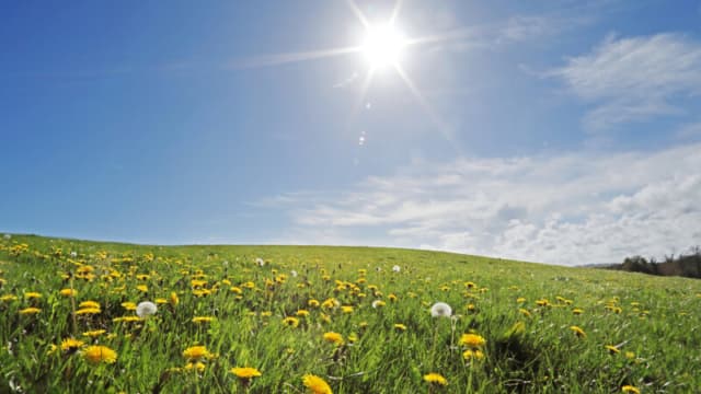 Vreme stabilă, prognozează meteorologii