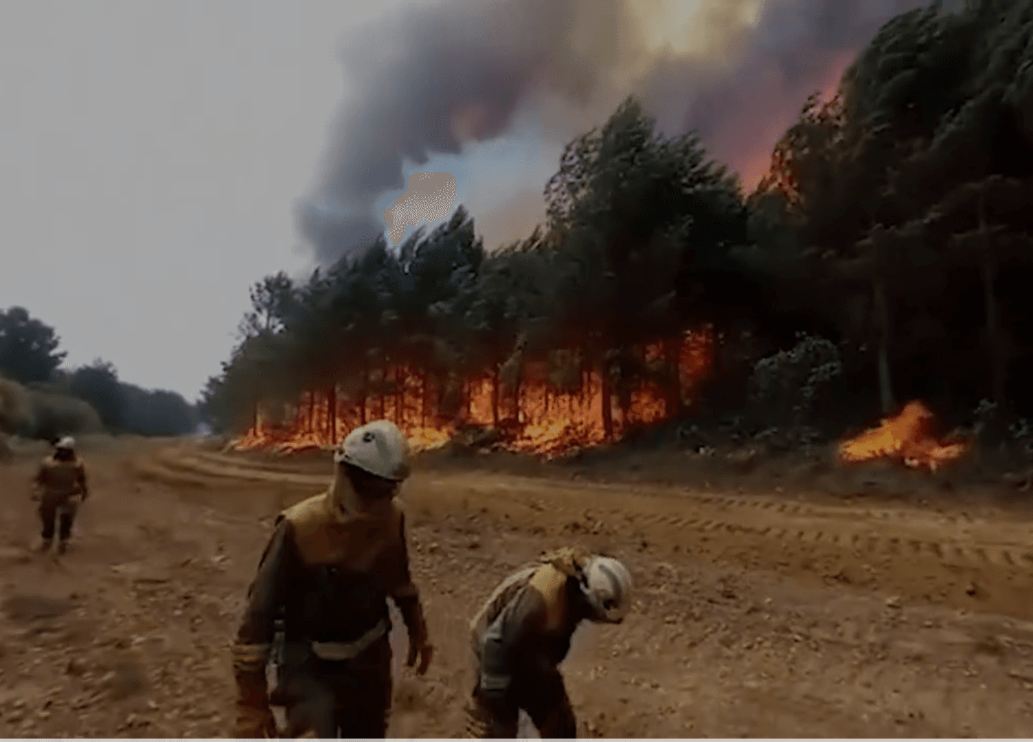 Caniculă și incendii de vegetație în Spania