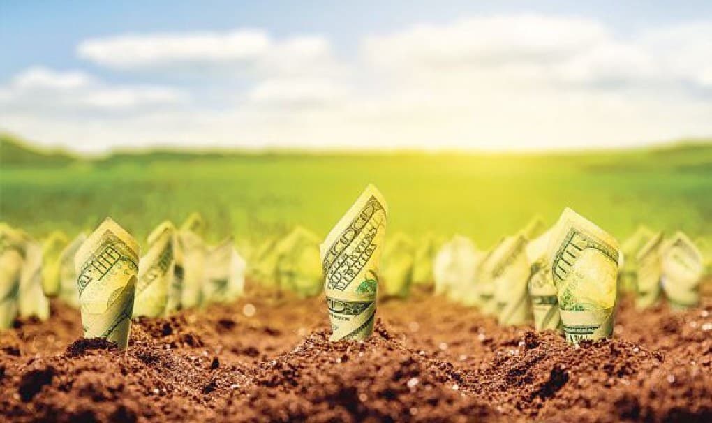Peste trei milioane dolari, pentru dezvoltarea agriculturii durabile