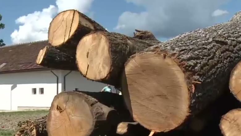 Camion cu lemne pentru școală, descărcat la pensiunea directorului