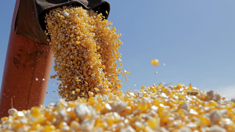România, cel mai mare exportator de cereale din UE