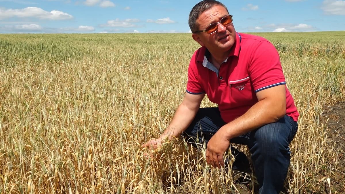 Agricultor: în așa situație, vom falimenta / VIDEO