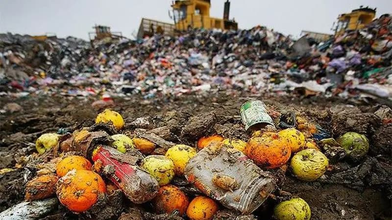 Guvernul din Spania: proiect de lege împotriva risipei alimentare